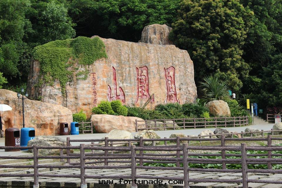 万(wàn)銘达(dá)举行登山(shān)比賽活动